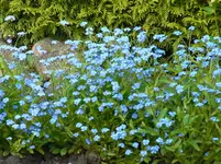 013.webp