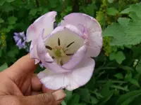 k-P1090022.webp