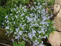 k-P1090021.webp