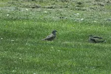 DSCF0760 (2).webp