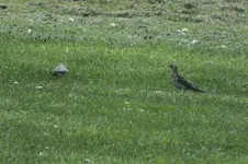 DSCF0761 (2).webp