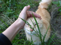 P1360932.webp