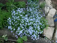 k-P1090028.webp