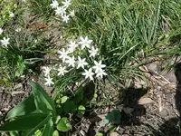 k-P1090031.webp