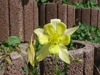k-P1090046.webp