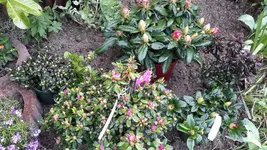 20150509_123553.jpg