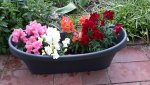 20150509_123626.jpg