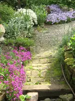 IMG_4456.webp