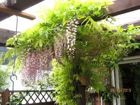 IMG_4460.webp