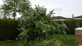 2015-05-09 13.05.07.webp