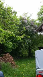 2015-05-09 13.07.41.webp