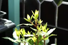 IMG_8975.webp