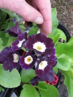 003_576x768.webp
