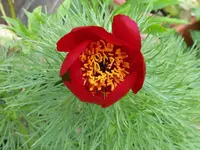 004_1024x768.webp