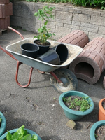 k-P1090061.webp