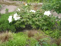 012.webp
