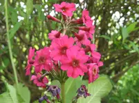 014.webp