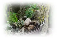Zinkwanne (4).webp