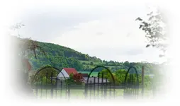 Blick runter ins Dorf.webp