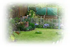 Blick in den Garten.webp
