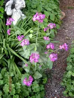 IMG_4462.webp