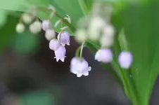 DSC03342.webp