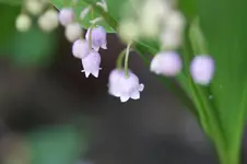DSC03343.webp