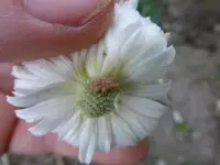 P1370006.webp