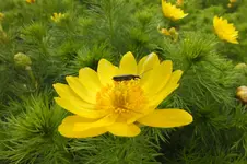 DSCF0765.webp