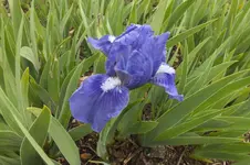DSCF0766.webp