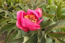 DSCF0767.webp