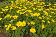 DSCF0772.webp