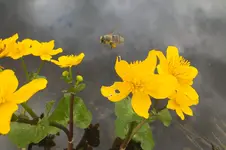 DSCF0775.webp