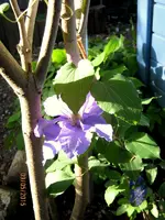 IMG_4463-001.webp