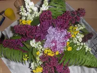 HPIM1467.webp