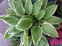 image.webp