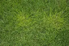 _DSC6388.webp