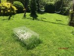G_Rasen_Rasenmähroboter_Gänseblümchen_Käfiggitter_1__09.05.2015_mr.ditschy.jpg