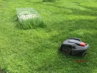 G_Rasen_Rasenmähroboter_Gänseblümchen_Käfiggitter_2__09.05.2015_mr.ditschy.webp
