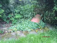 G_Ecke_Blumentopf__09.05.2015_mr.ditschy.webp