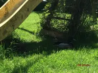 T_Enten_Kinderrutsche Schatten__09.05.2015_mr.ditschy.webp