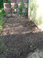 k-P1090076.webp