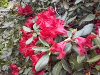 CAM00331.webp