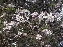 CAM00334.webp