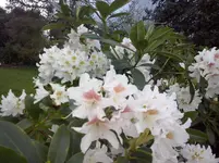 CAM00341.webp