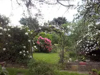 CAM00342.webp