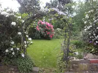CAM00343.webp