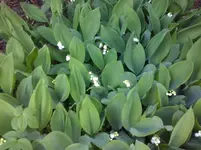 CAM00326.webp