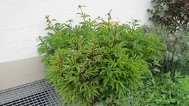 IMG_5721.webp