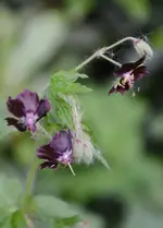 DSC_4438.webp